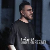 دانلود آهنگ گرشا رضایی دو پرنده